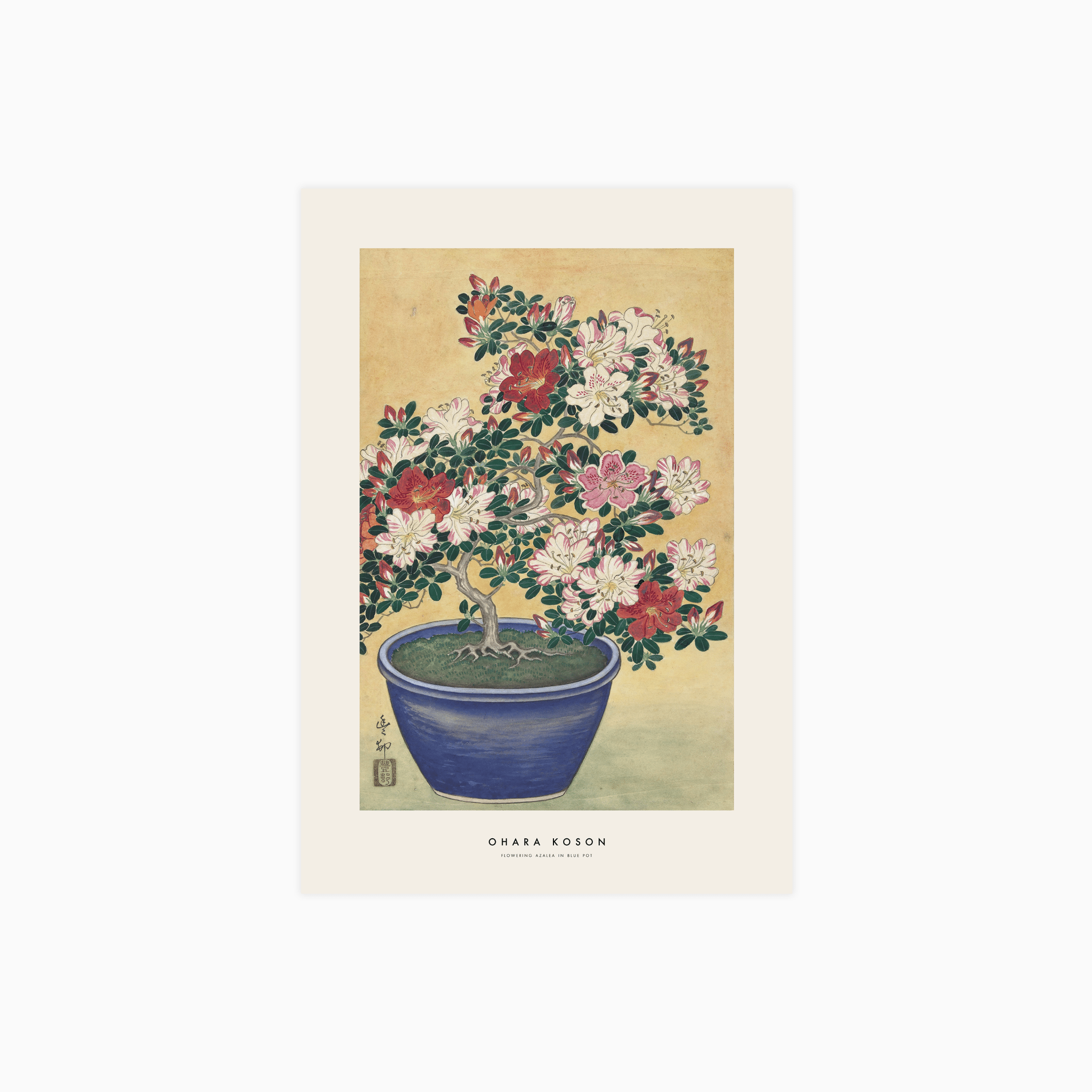 Flowering Azalea In Blue Pot Poster