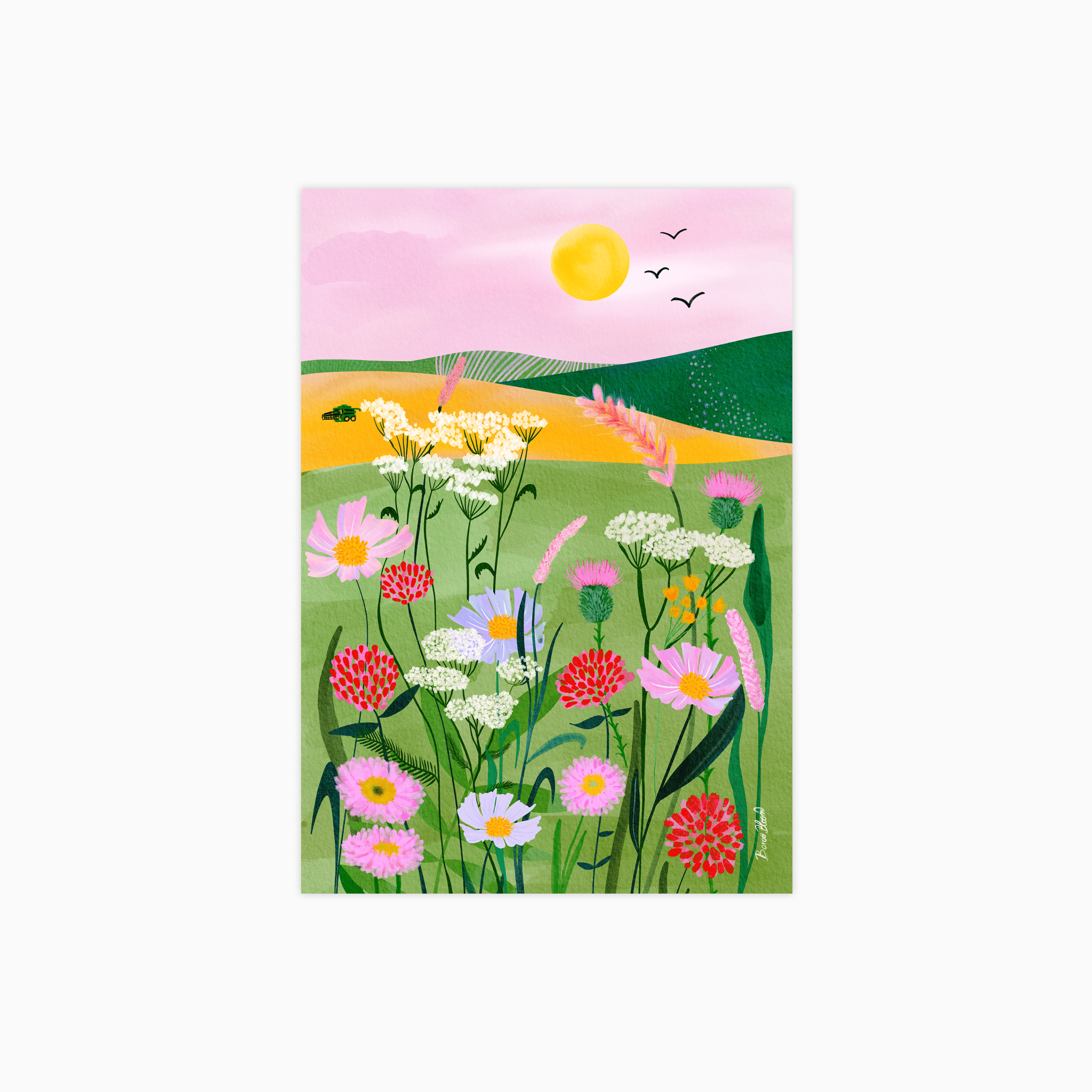 Summer Fields and Blooms Poster